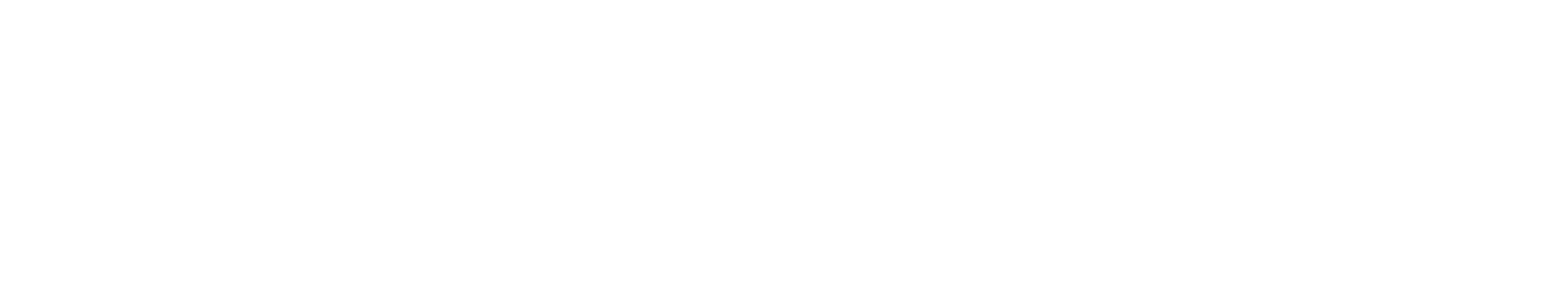 tandoorinawab_logo